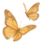 Schmetterlinge